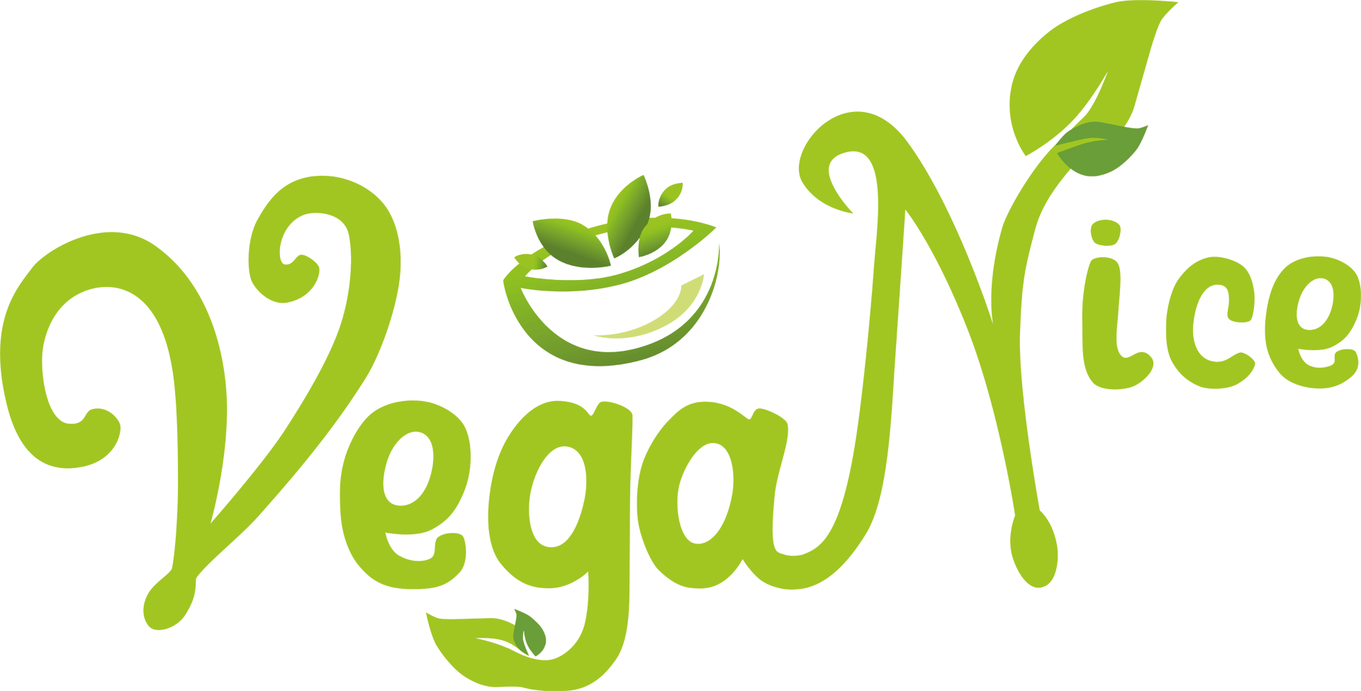 Vega Nice